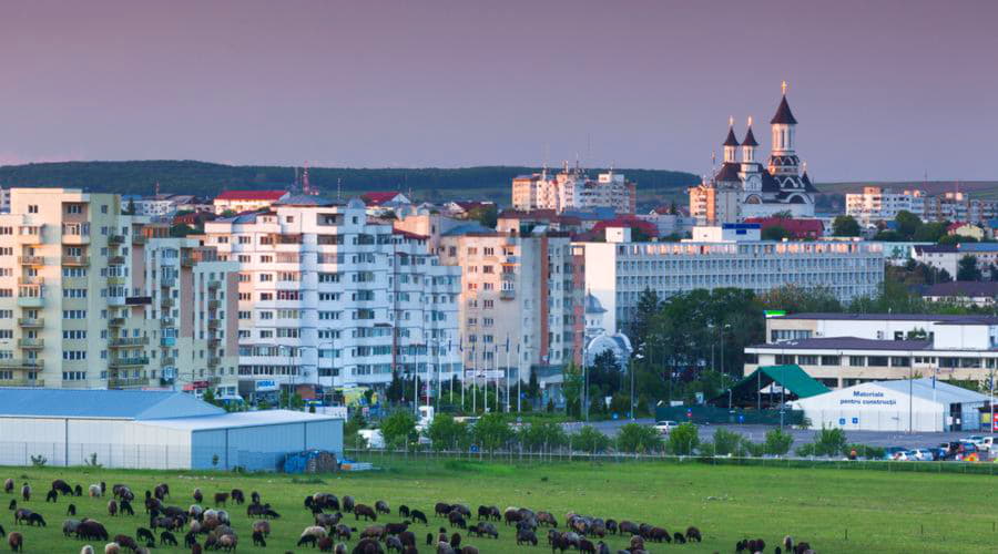 Was sind die beliebtesten Fahrzeugmodelle in Suceava?